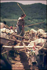 Lavoro Basilicata