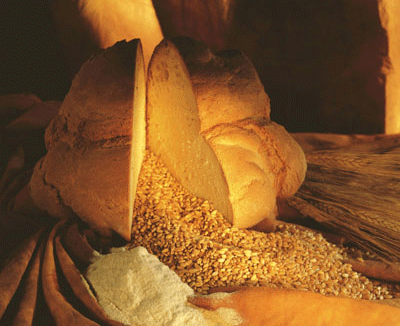 Pane di Matera IGP